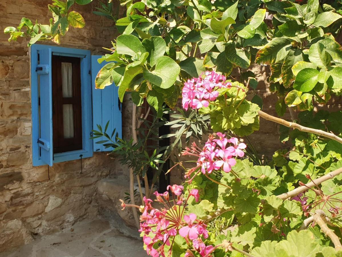 Vasilopoulos House Тохни Экстерьер фото